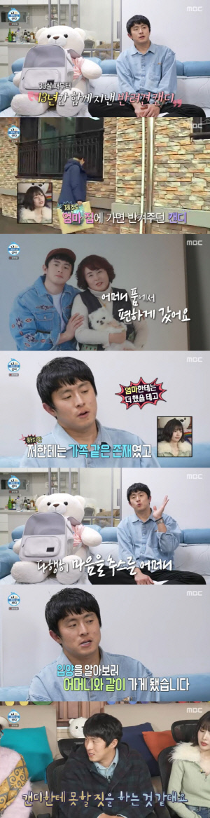 기안84, 학대당한 유기견 입양..