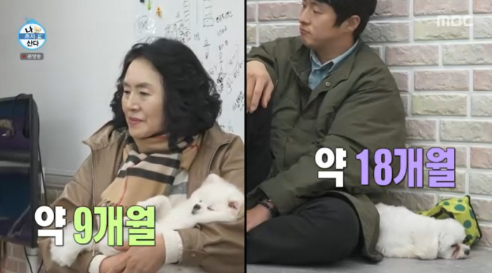 기안84, 학대당한 유기견 입양..