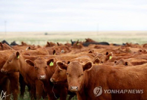 [이지 사이언스] 