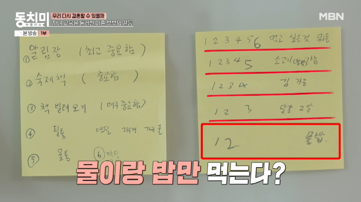 "밥 안 줘" 함소원, 8세 딸에 충격 훈육법...전남편 진화 "영양 필…