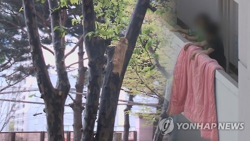 부산 아파트 12층서 40대 추락해 숨져…"빨래 널던 중 사고"