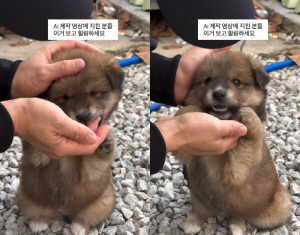 ‘이솔이♥’ 박성광, AI 아닌 진짜 상황 공개..“필터 없는 힐링”