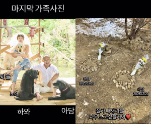 최여진, 결혼 6개월만에 비보 