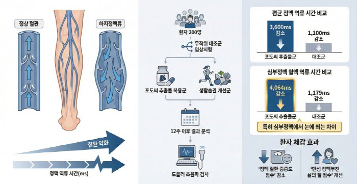 포도씨 추출물, 하지정맥류 개선 효과 세계 최초 입증