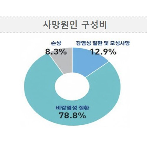 기대수명 늘면서 만성질환 사망 ↑…전체 사망 원인의 80% 육박