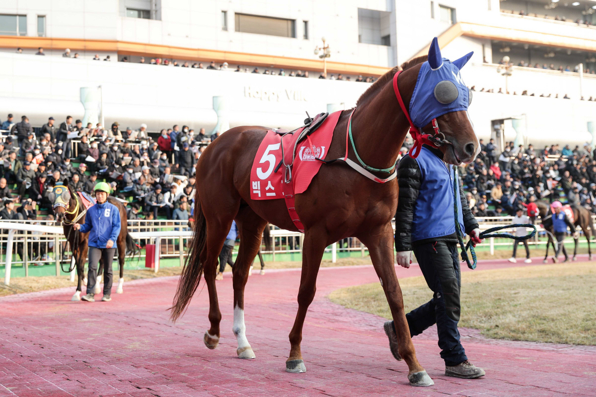 [경마]새로운 서사의 시작… 붉은 말의 기운으로 여는 2026년 한국경마…