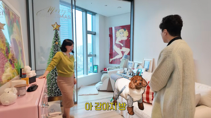 '66세 미혼' 최화정, 110억 70평家에 반려견 방 마련..통창뷰에 …