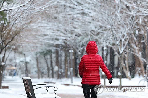 밤사이 장성 10.9㎝ 적설…광주·전남 눈길 출근길(종합)