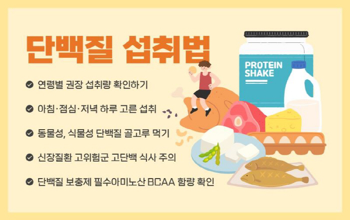 세대간 단백질 섭취 양극화…힘찬병원 "과다 섭취는 신장에 부담"