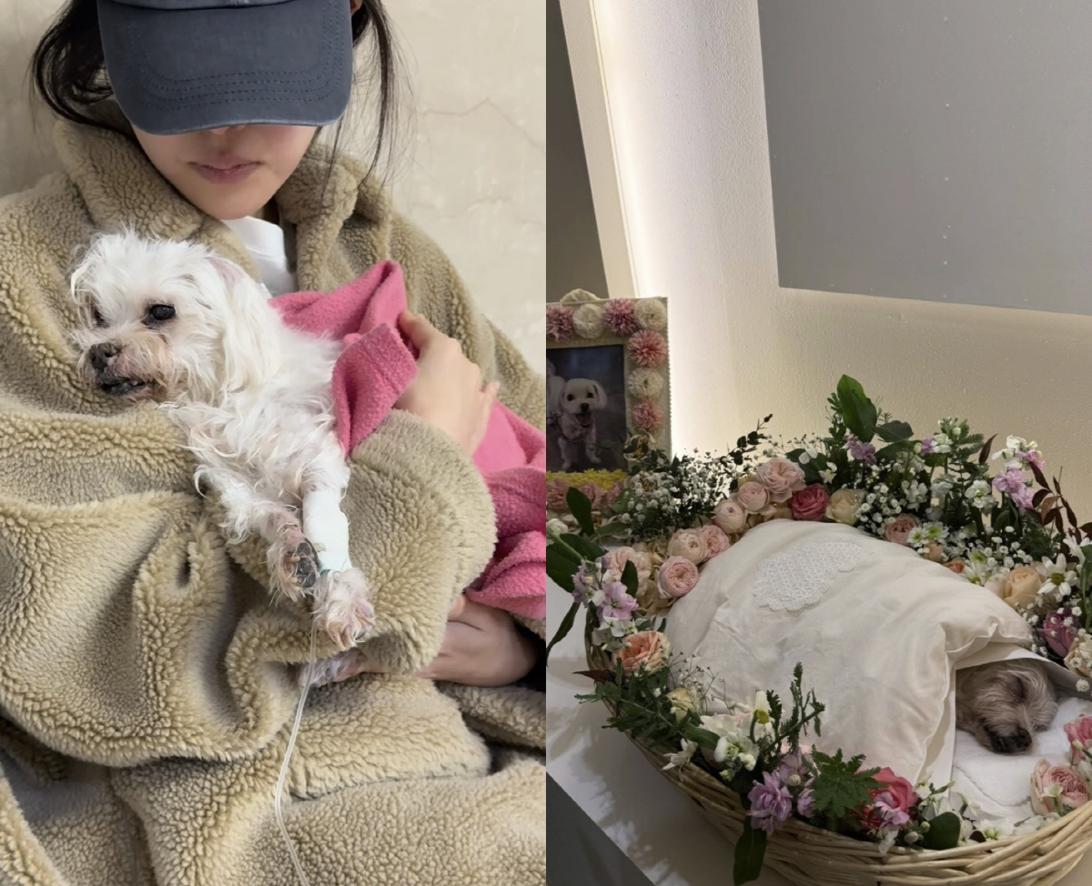 황신혜, 가슴 아픈 이별 알렸다…딸 이진이도 오열 "먼저 간 길 외롭지 …