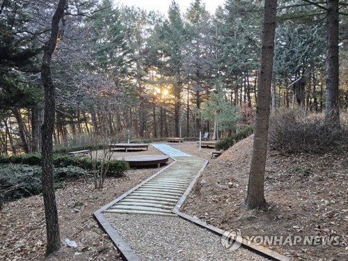 정선군, 비봉산 산림공원 조성…정원 도시 기반 강화