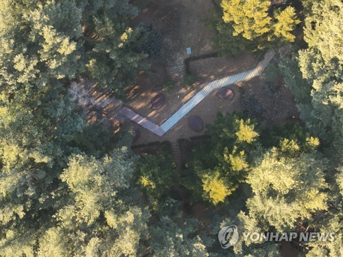 [정선군 제공]