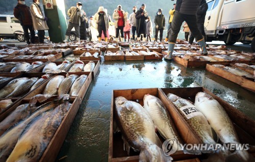 [연합뉴스 자료사진]