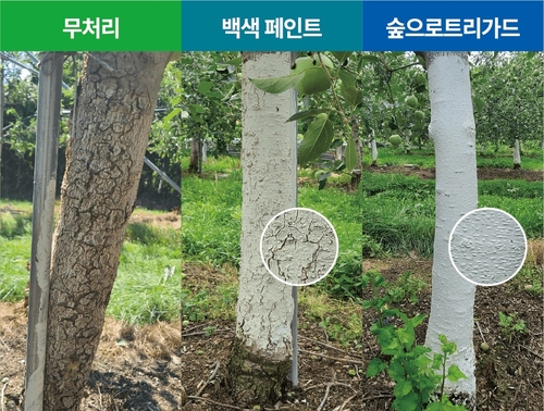 [KCC 제공. 재판매 및 DB 금지]
