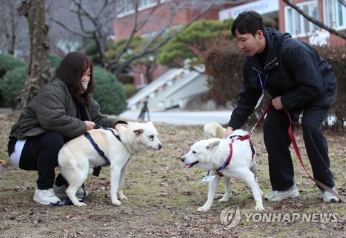 [연합뉴스 자료사진]