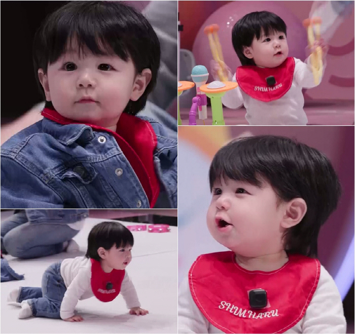 심형탁 子 하루, 11개월 최연소 기록 썼다...최초 매트 팬미팅 "아이돌 돼라" ('슈돌')