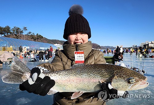 '추위 속 손맛 짜릿' 평창송어축제, 오대천 일원서 9일 개막