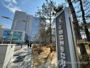 조폭 행동대장 도피 도와준 주짓수 관장 징역형 집유