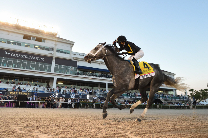 [경마]세계 최고 경주마 닉스고, 대한민국 씨수말로 첫발