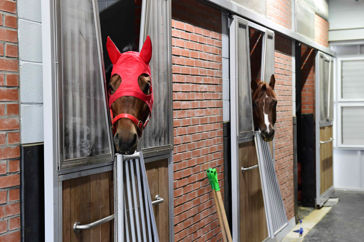 [한국경마 타임캡슐] 2016년 1월 '새해, 새 기술, 새 무대'