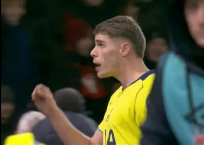 "손흥민 돌아와" '콩가루' 토트넘 민낯! 판 더 펜, 감독 패싱→'극장…