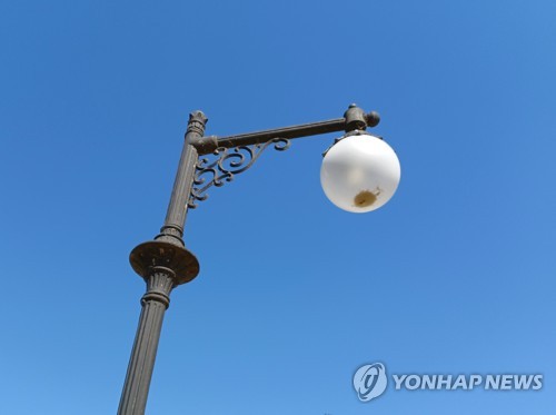 제주도, 평화로·번영로 등에 가로등 630주 추가 설치