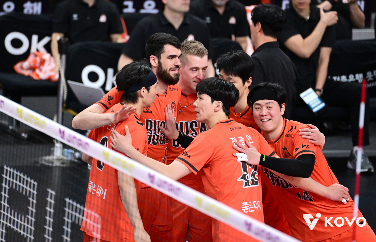 니가 그렇게 배구를 잘해? 부산으로 내려와! → '홈 깡패' OK저축은행…