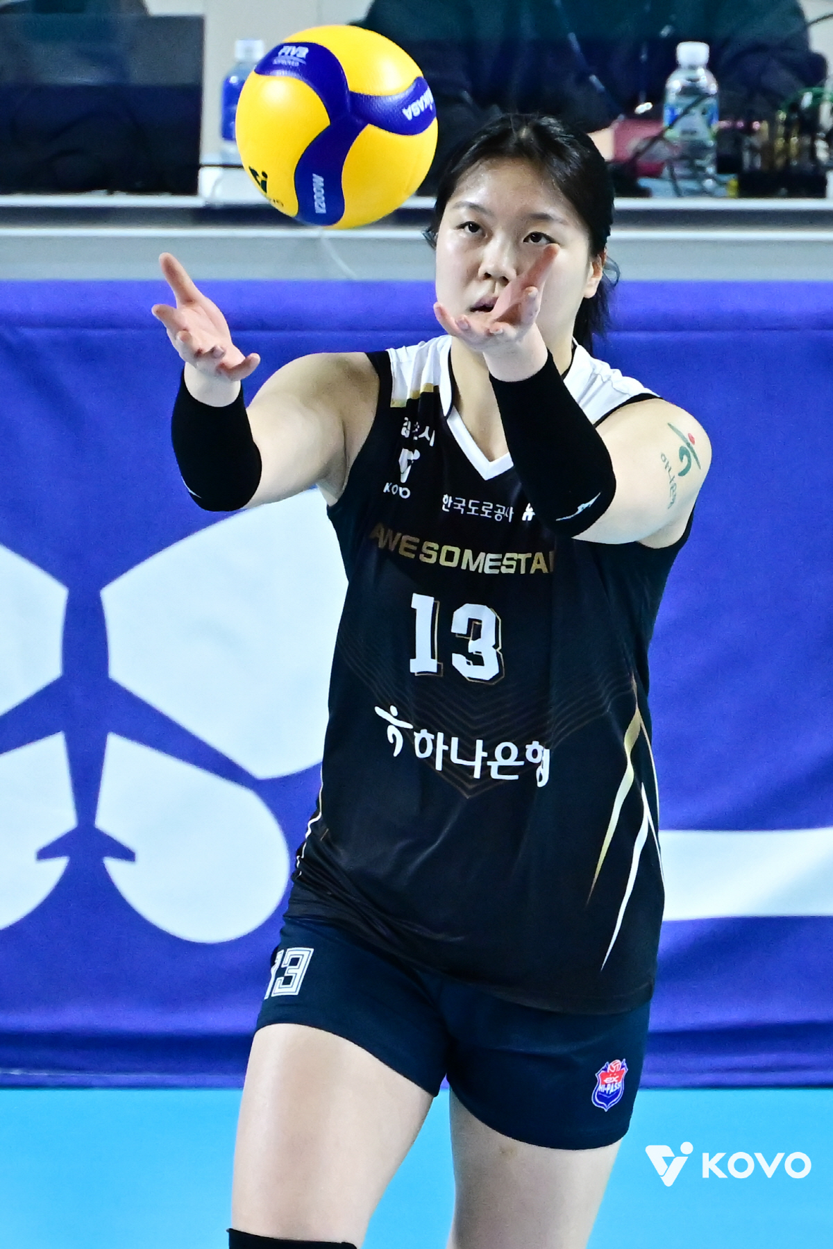 집에서는 안 진다! 도로공사, 첫 매진에 홈 11전승 화답…GS칼텍스에 …