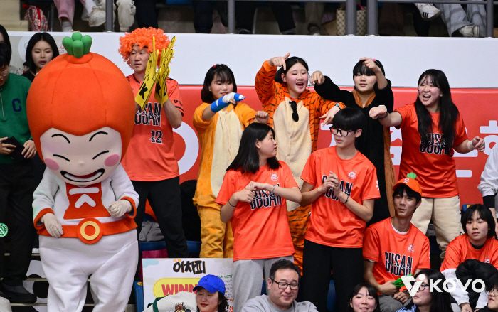 '부산행' 판이 뒤집혔다! → OK저축은행 관객 1위 질주! '오픈빨' 아니었네. "이 정도까지 기대는 안 했다"