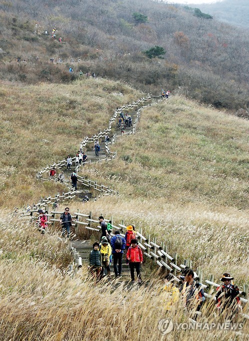"올해도 울산 영남알프스 완등하세요"…기념 메달 3만개