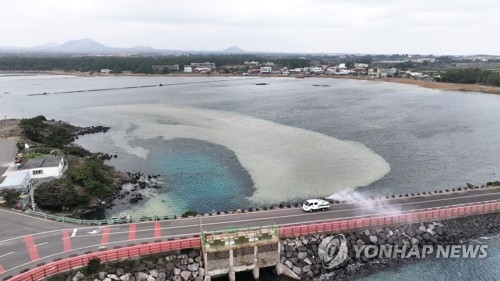 제주 성산 해안 야생조류 분변서 고병원성 AI 검출