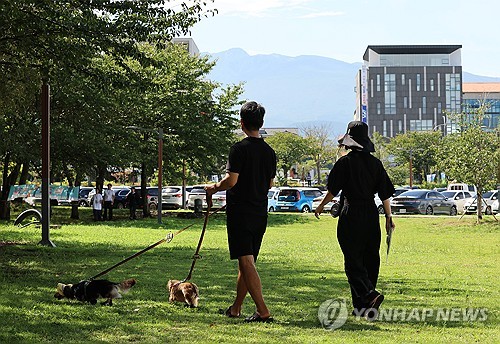 제주 지난해까지 등록 반려견 7만마리…등록 수수료 면제 연장