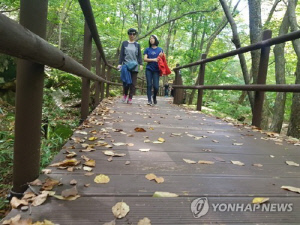 작년 속리산 탐방객 122만3천명…10명 중 7명 법주사 경유