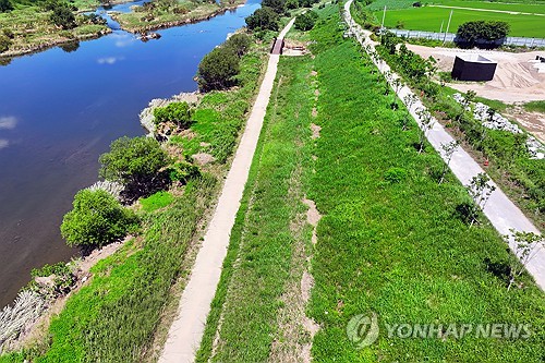 '국가하천 나무 불법 식재' 화순군 책임자 중징계 요구