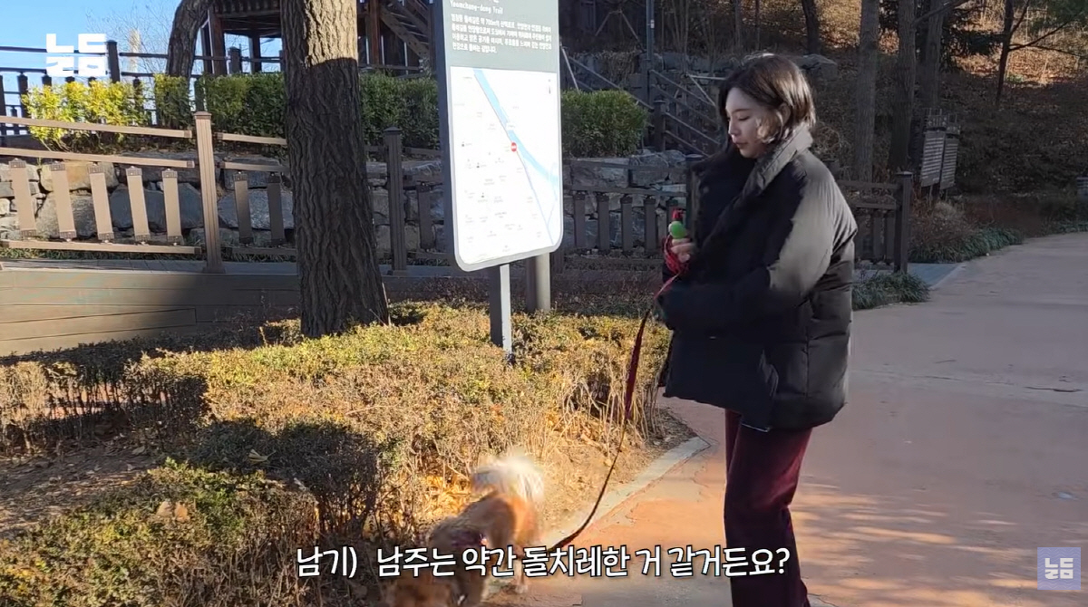 '돌싱글즈' 윤남기♥이다은, 결혼 3년만에 "죽다 살았다" ('남다리맥'…