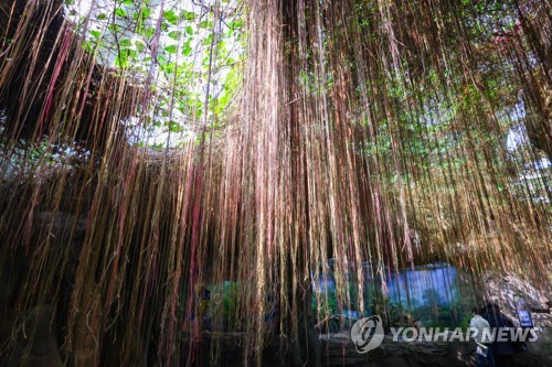 한없이 수동적이고 나약한 존재?…식물에게 배우는 생존의 지혜