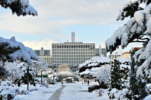 부천시, 경매 낙찰 부동산 60건 기획조사…전세사기 예방
