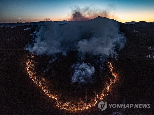 산림청, 산불재난 국가위기경보 '주의' 단계 발령