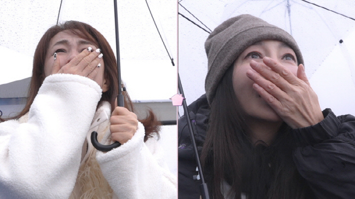 박원숙에 바톤 넘겨받은 황신혜, 싱글맘들 동거생활 담는다…'같이 삽시다'…