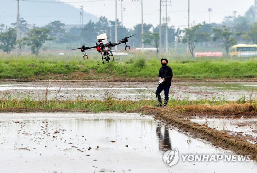 삼척시, 드론 직파·드문 모심기 도입…농가 생산비 절감
