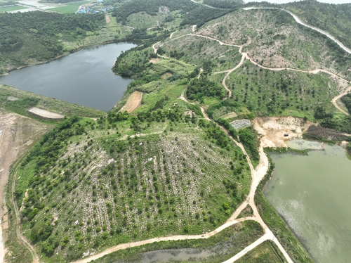 전남도, 신안 팔금도 섬숲 복원 국비 20억 확보
