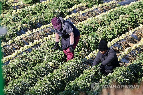 [고침] 사회('고용한파'에 고용허가제 입국자 1년새…)