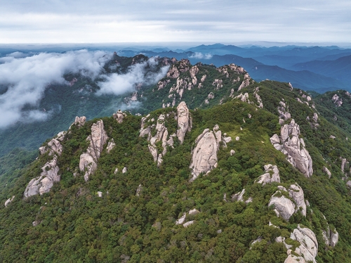 산림청, 생태·지역·국제 가치 높일 백두대간 청사진 마련