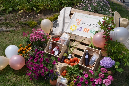 농업에 젊음을 더하다, 더 커진 제천 영파머스 마켓