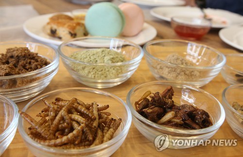 식용 곤충으로 어떤 요리 만들까요…남원시, 레시피 공모