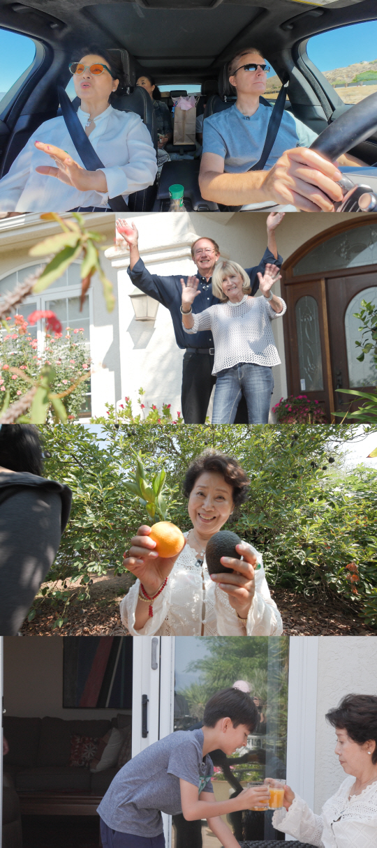 선우용여, 美 사돈도 어마어마...대저택 공개 "국제 금융업 회사 출신"