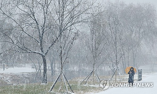 강원 산지 최대 5㎝ 눈…출근길 교통안전 유의