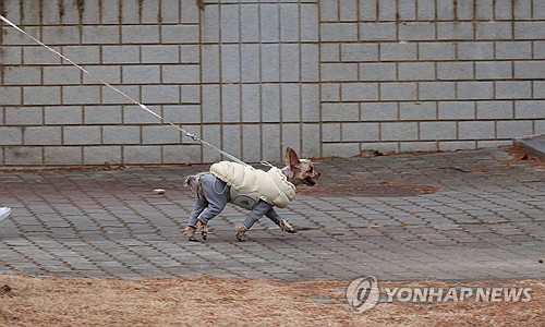 대전·세종·충남 오전 한때 비…낮 최고 10∼14도