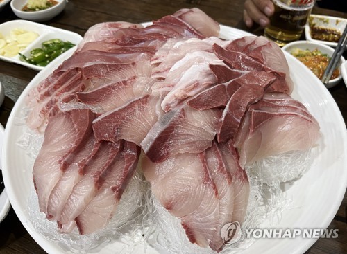 日 겨울 방어 어획량 60∼70% 감소…도매가 작년의 2∼3배