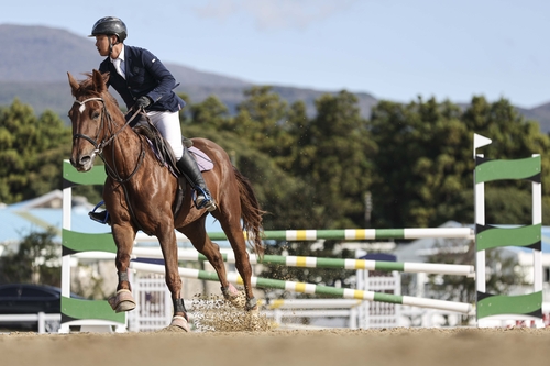 한국마사회, 은퇴 경주마 승용 전환 지원사업 신청 접수